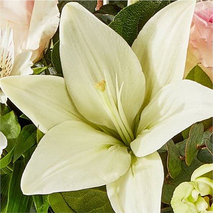 Ballet Slippers Bouquet – FLOWER'S SAGE, Doral FL