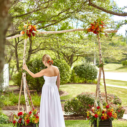 Arbor of Love Archway – FLOWER'S SAGE, Doral FL
