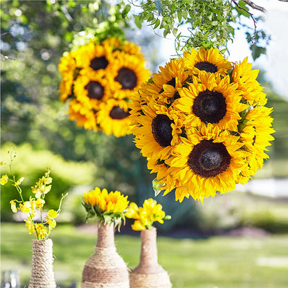Sublime Garden Hanging Arrangement – FLOWER'S SAGE, Doral FL