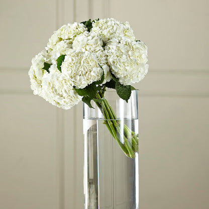 White Hydrangea Hand-Tied Bouquet – FLOWER'S SAGE, Doral FL
