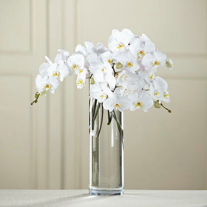 White Phalaenopsis Bouquet – FLOWER'S SAGE, Doral FL