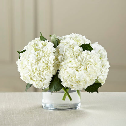 White Hydrangea Bouquet – FLOWER'S SAGE, Doral FL